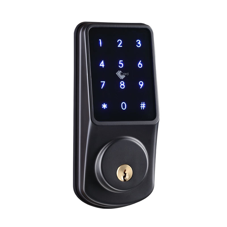 Tuya app smart door lock