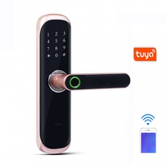 FL-5 WIFI Smart Fingerprint Lock with Tuya App