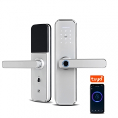 FL-X5 Smart Fingerprint Lock with Tuya App