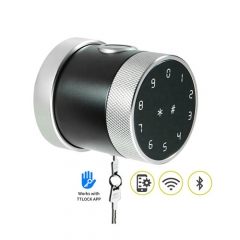 FL-D06 TTlock App Round Knob smart door lock