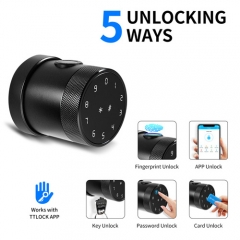 FL-D06 TTlock App Round Knob smart door lock
